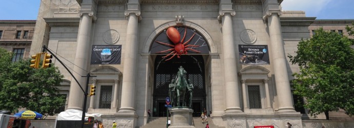 American Museum