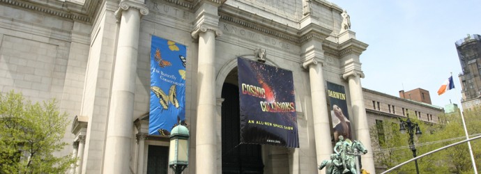 American-Museum-of-Natural-History