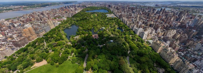 Central-Park-New-York-7